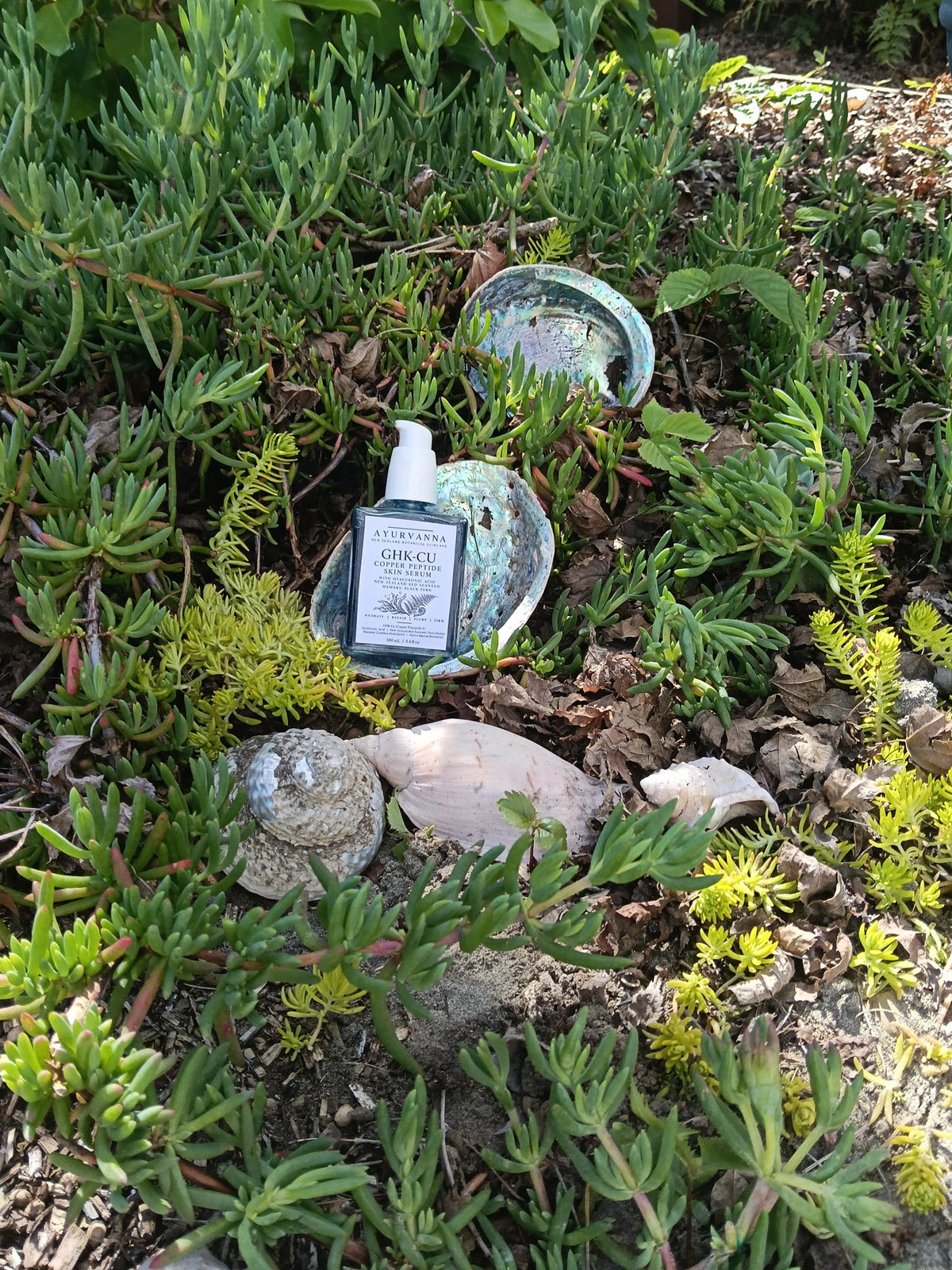 Ayurvanna GHK-Cu serum with pāua shells and coastal plants