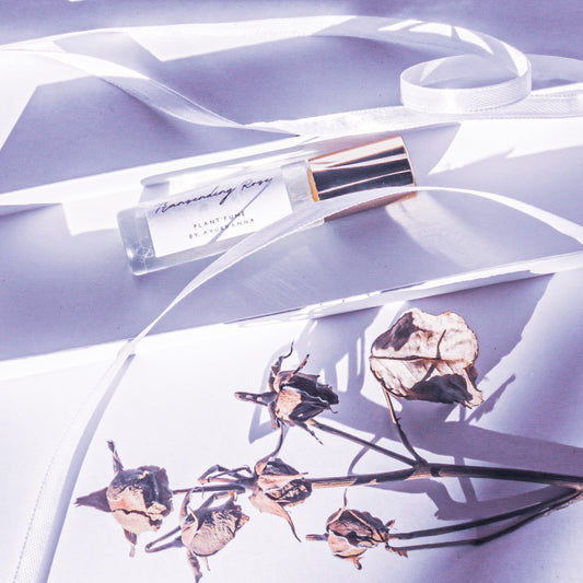 Transcending Rose Plant'fume