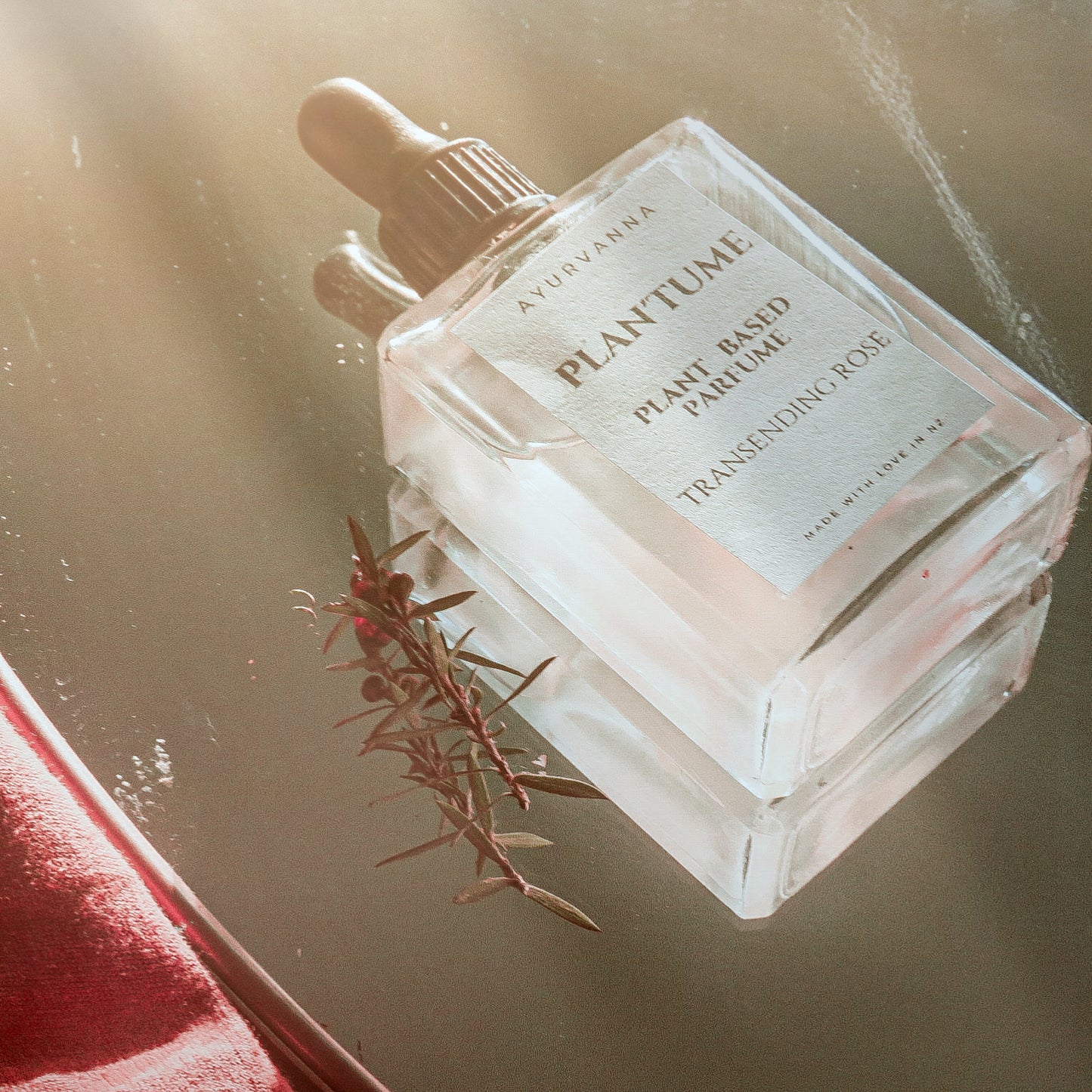 Transcending Rose Plant'fume