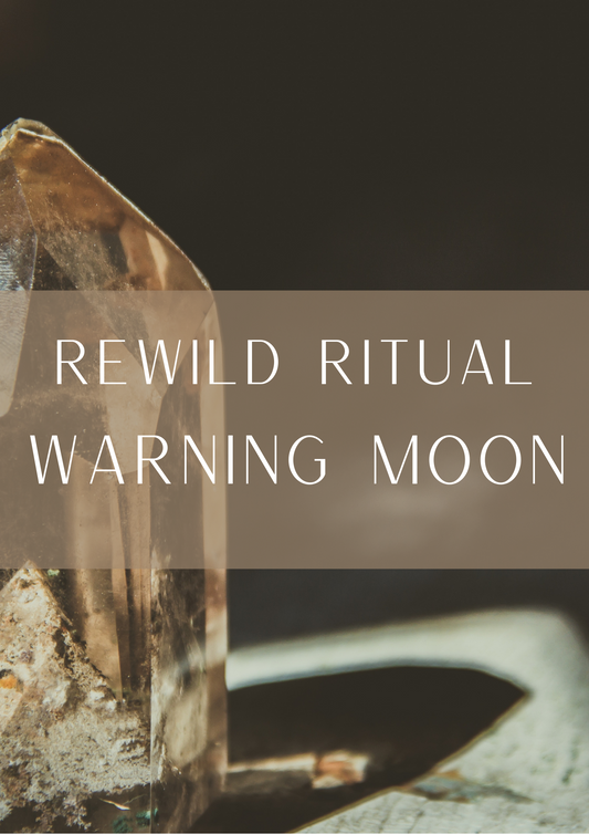 Day 2 waning moon & Buddist tea