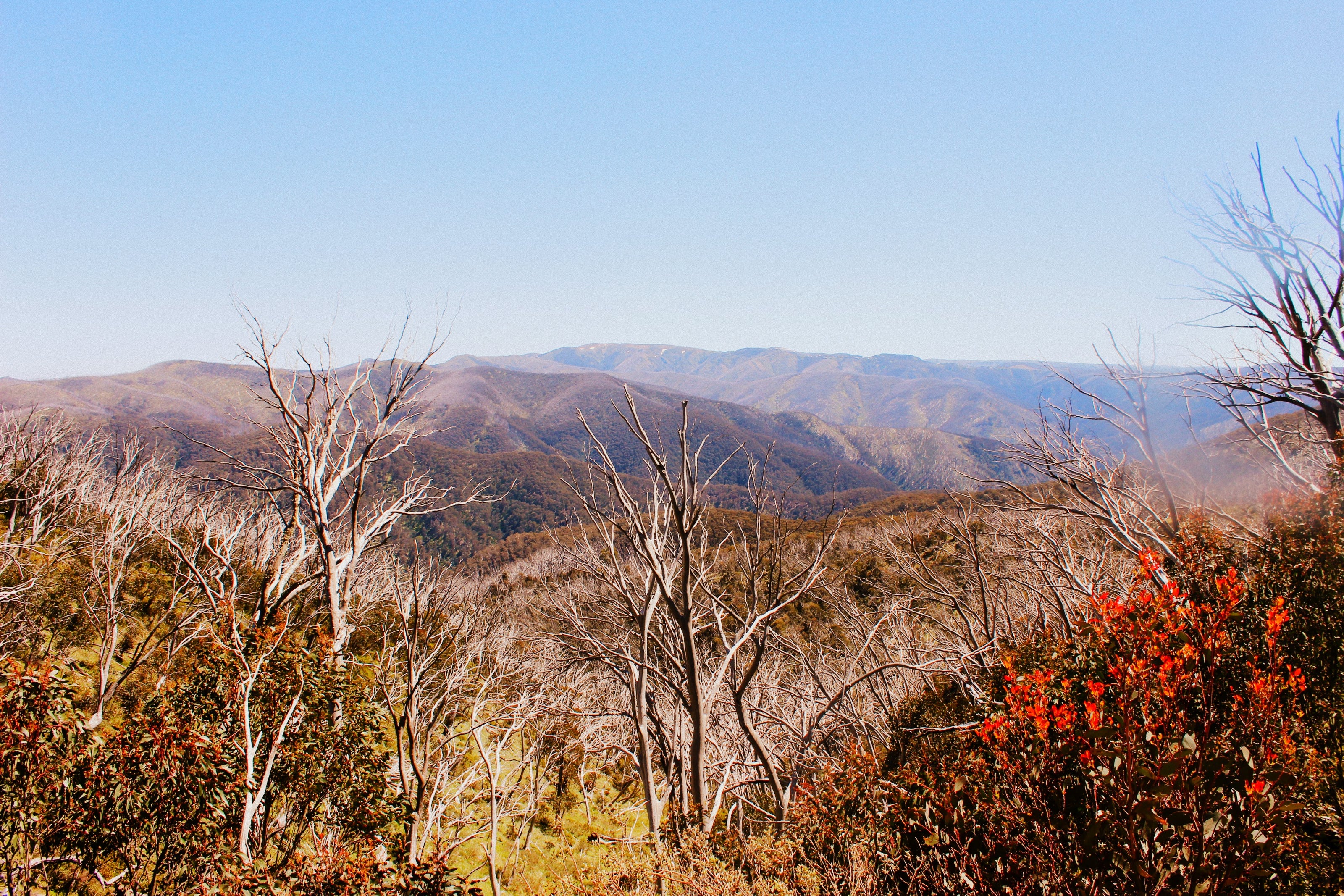 Do you know that your skin has a important role in your immune system?