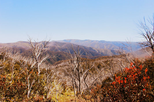 Do you know that your skin has a important role in your immune system?