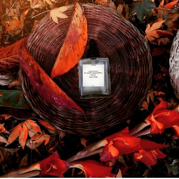 Plant'logenetic Face Nectar