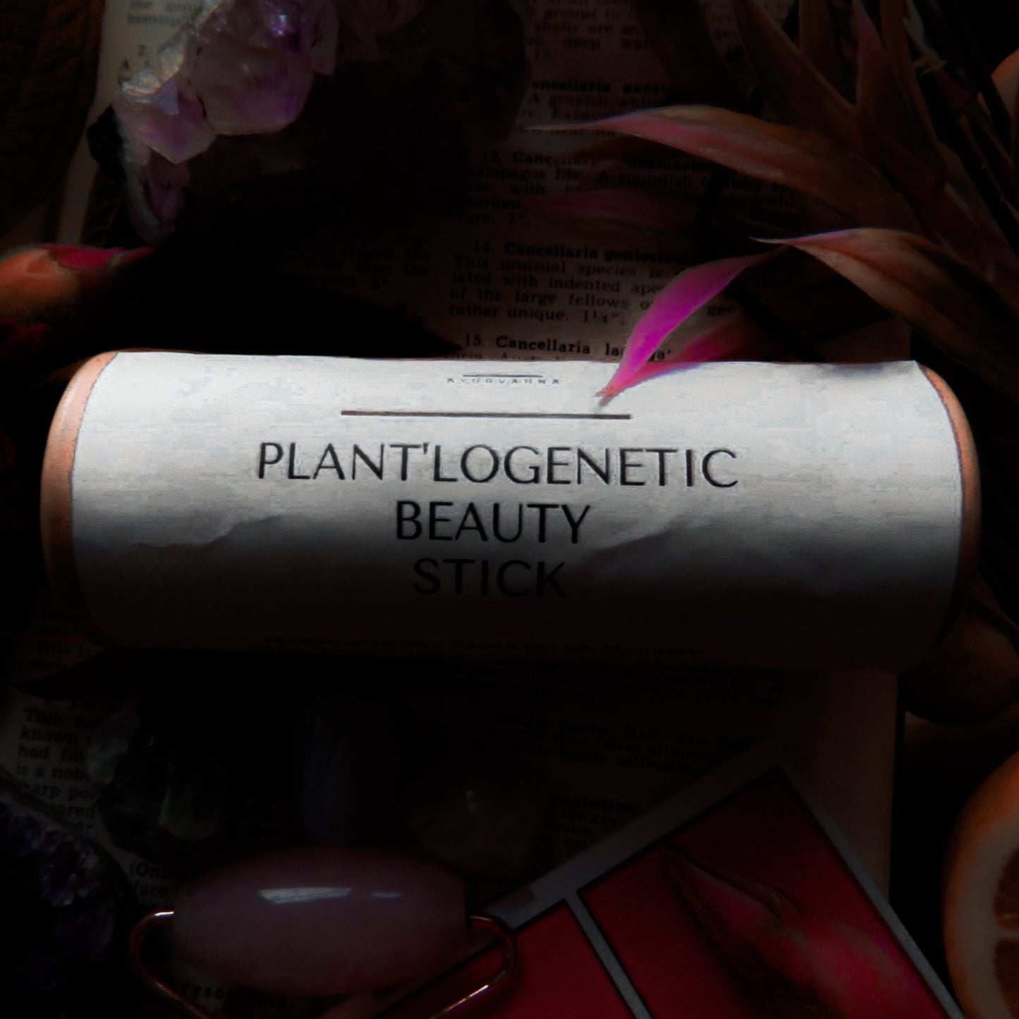 Plant'logenetic Beauty Stick