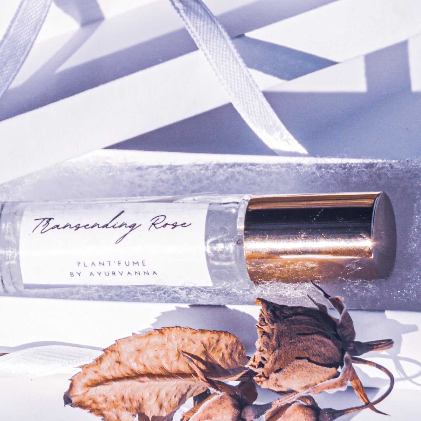 Transcending Rose Plant'fume