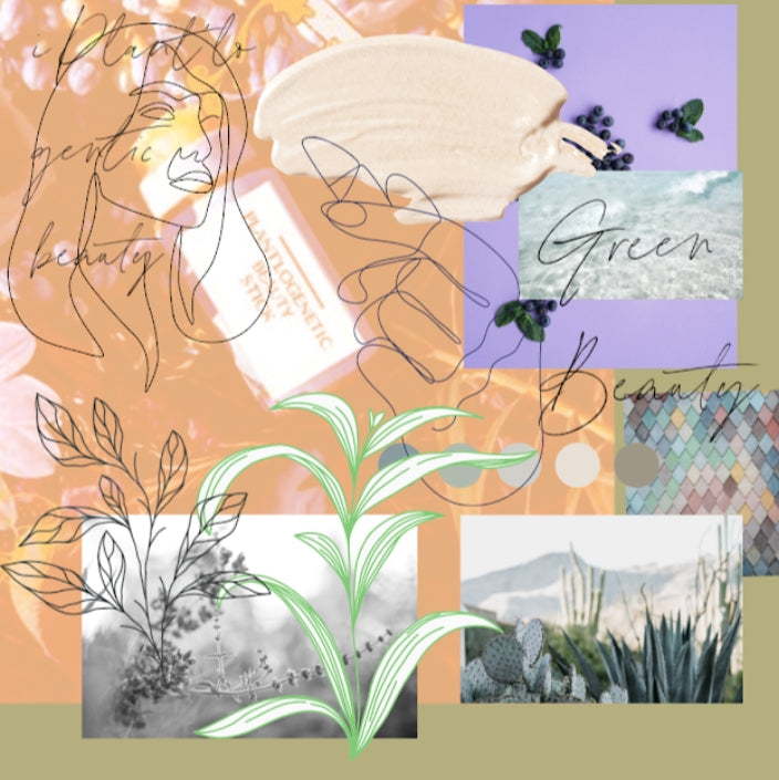 Plant'logenetic Beauty Stick