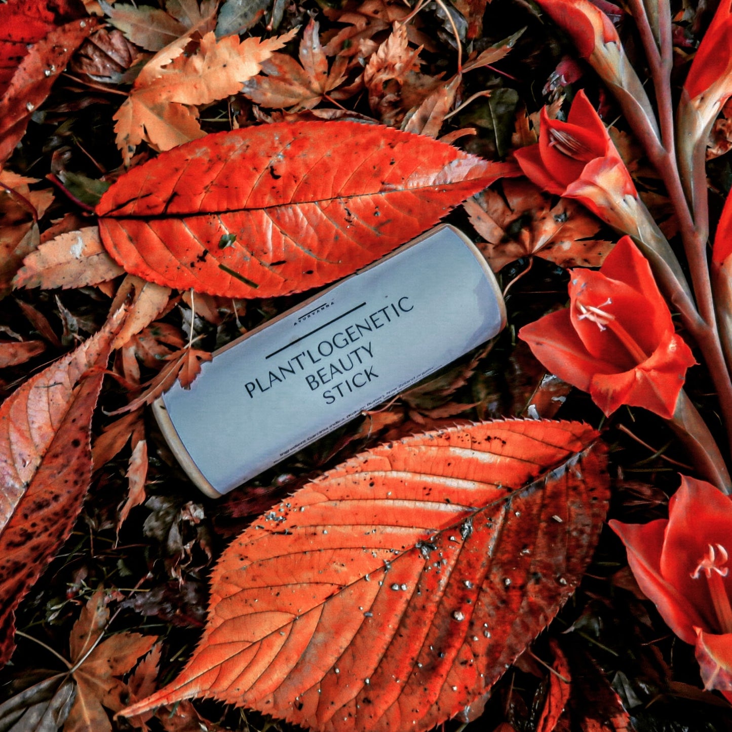 Plant'logenetic Beauty Stick