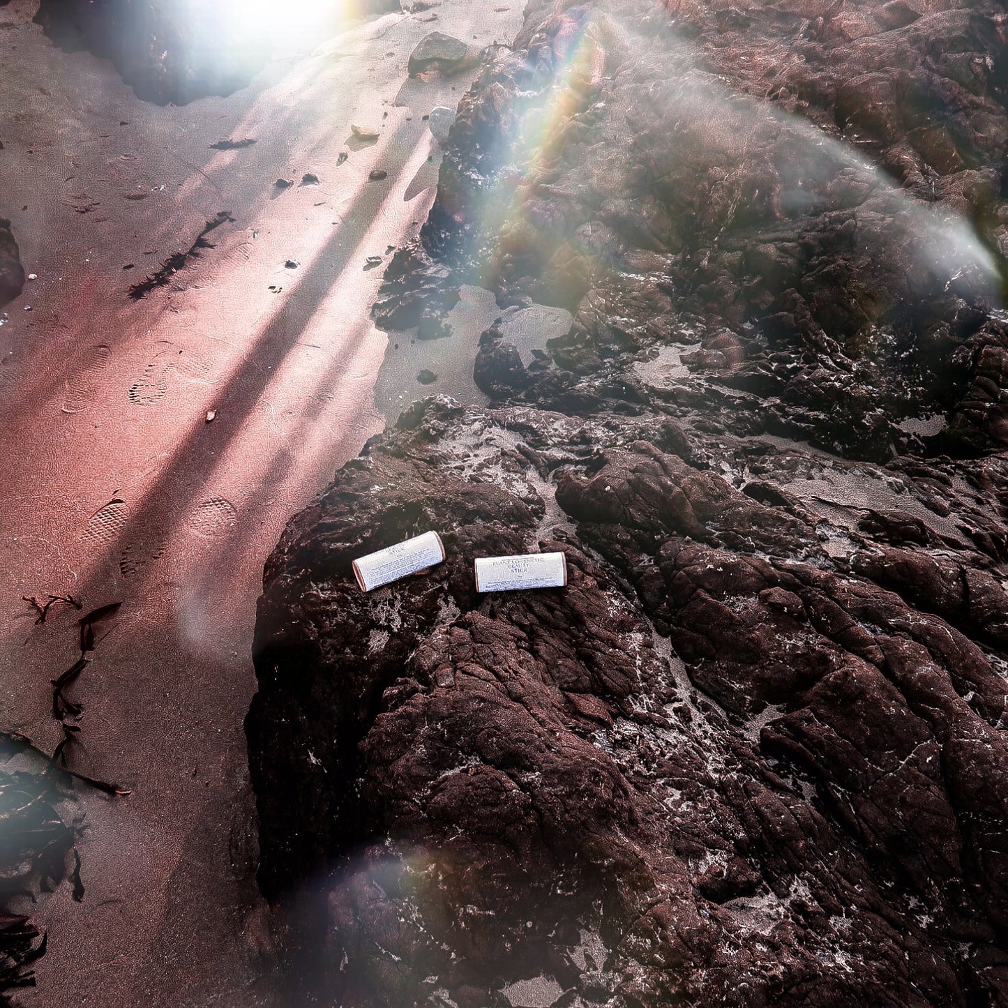 Plant'logenetic Beauty Stick