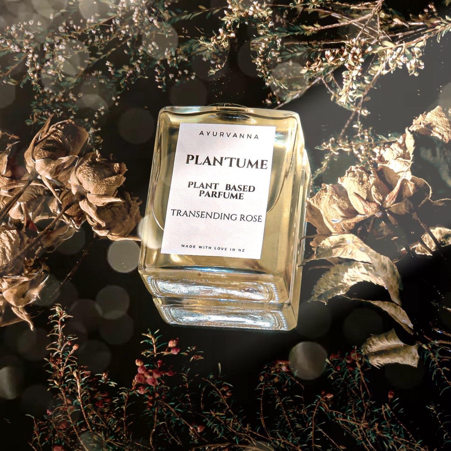 Transcending Rose Plant'fume
