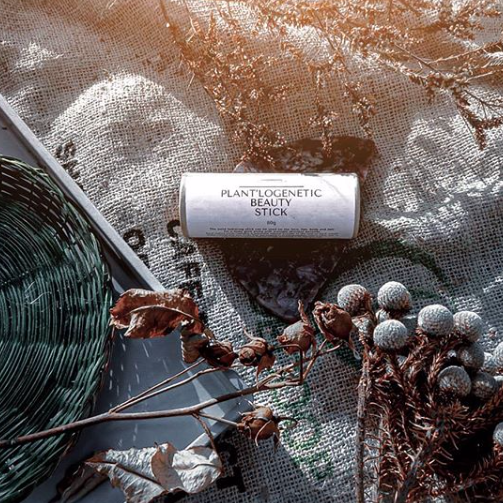 Plant'logenetic Beauty Stick