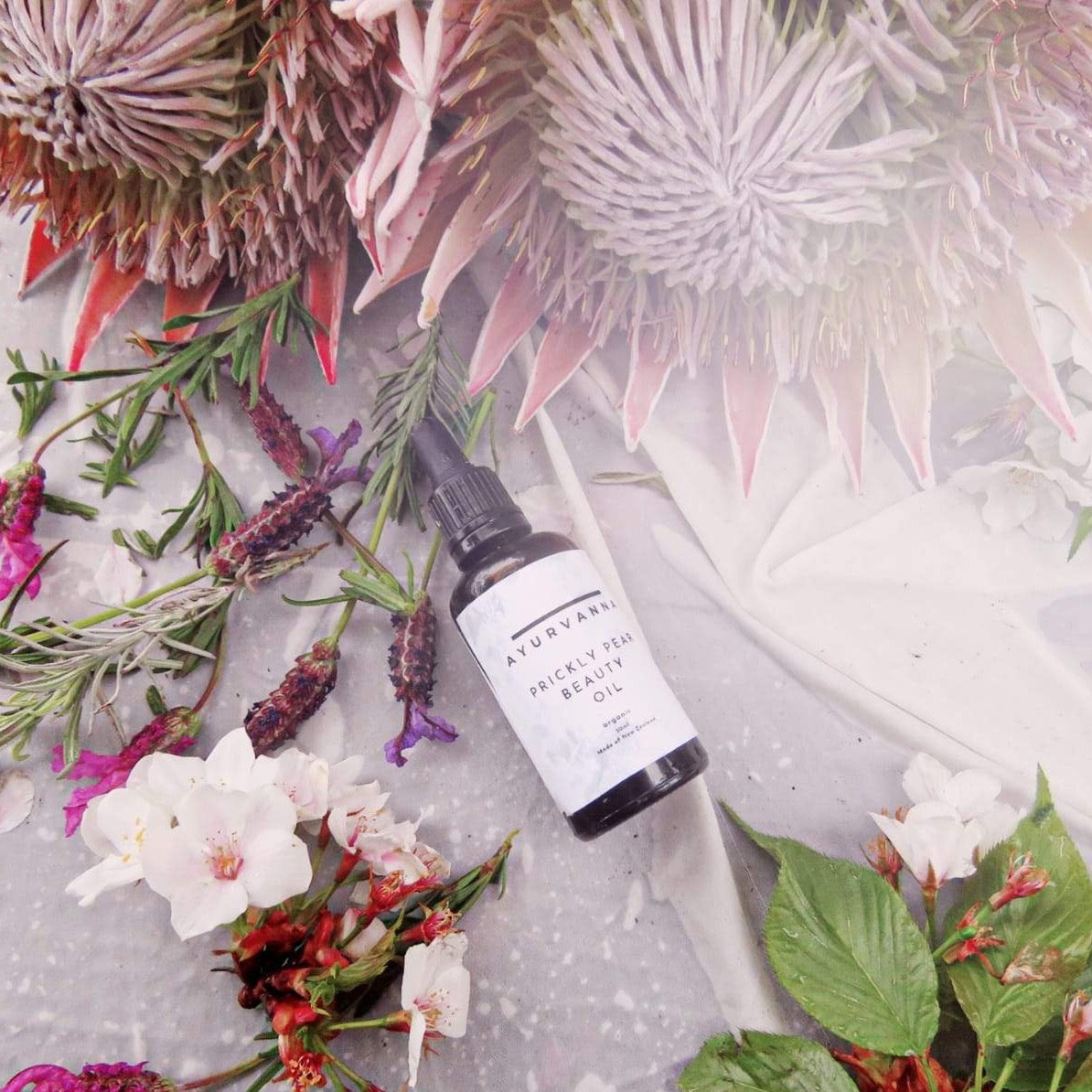 Prickly Pear Beauty Oil